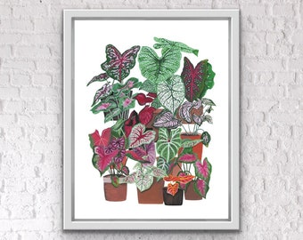 Caladium Gang Painting Art Print - Gouache Plant Art - Wall Art - Wall Decor