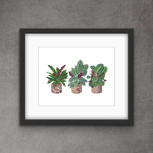 Digital - Calathea Gang Painting - Digital Download - Houseplants - Plant Art - Wall Decor