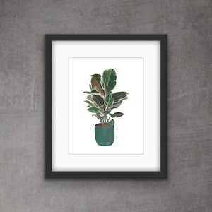 May include: A framed print of a watercolor illustration of a potted plant with green and white leaves. The plant is in a dark green pot.