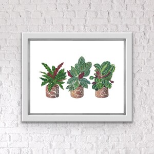 Pode incluir: Uma impressão emoldurada branca com três plantas em vasos com folhas verdes e vermelhas. As plantas estão em vasos marrons com um design branco.