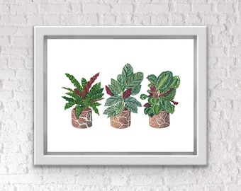 Calathea Gang Painting Art Print - Gouache Plant Art - Plantas de interior - Plant Art - Decoración de paredes - Arte minimalista