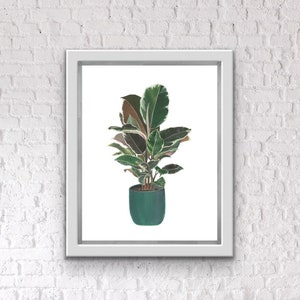 May include: A framed illustration of a potted plant with green and white variegated leaves. The plant is in a dark green pot.
