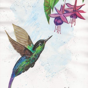 Flight of the Hummingbird print