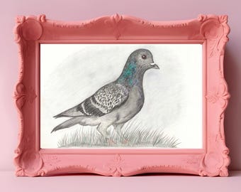 Perry the Pigeon 7x5” print