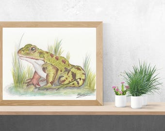 Miles the Frog 7x5 Print