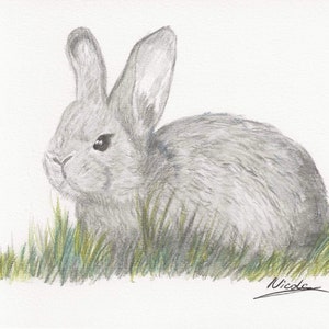 Bonnie the Bunny 7x5 print