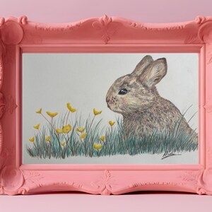 Bucky’s beautiful Garden 7x5 print