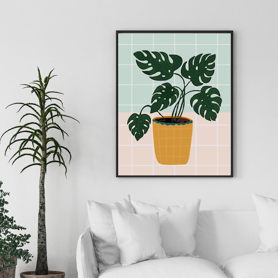 mini-monstera Mini Monstera – Hey Rooted main image 1