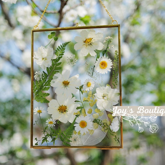 Pressed Flower Frame 6x8 Pressed Flower Wall Art Pressed Flower