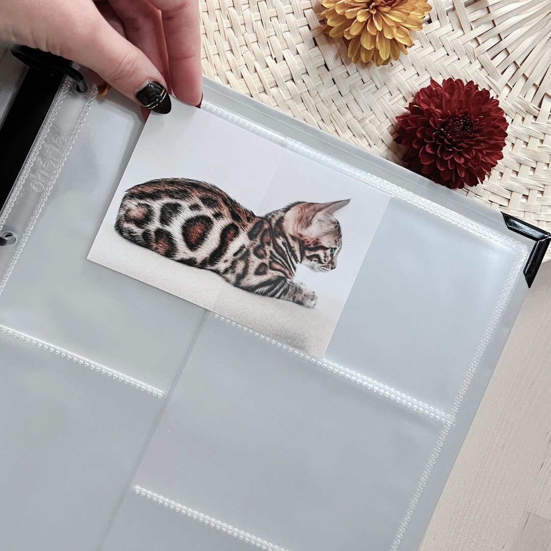 A4 Ring Binder Clear Pockets 10pcs for 9x13 Cm/ Clear Photo Etsy