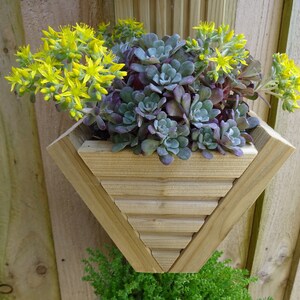 Vertical Triple MINI Wooden Garden Planter fence/wall Hanging image 6