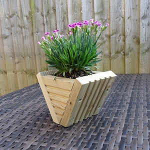 May include: A wooden planter box with a geometric design, filled with green foliage and vibrant pink flowers. The planter is constructed from light-coloured wood and secured with screws. The flowers are in full bloom, adding a pop of colour to the natural setting.