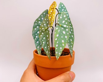 Handmade Paper Plant - Begonia Maculata, Rare houseplant, Housewarming gift, pet friendly