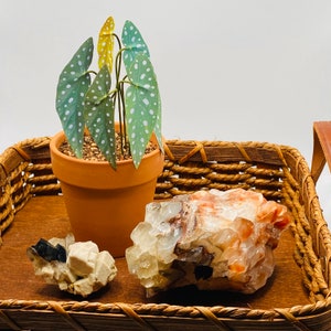 The paper begonia is perfect as decoration on a stand or tray. It is displayed on wooden tray with rattan sides with two crystals in front of it. One crystal is larger with grey and orange coloring. The other is made of clear, black and white cubes.