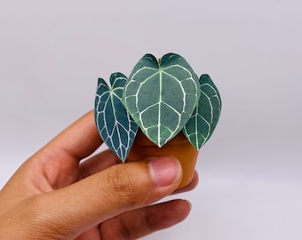 Mini Handmade Paper Plant - Anthurium Clarinervium, Rare houseplant, Housewarming gift, pet friendly