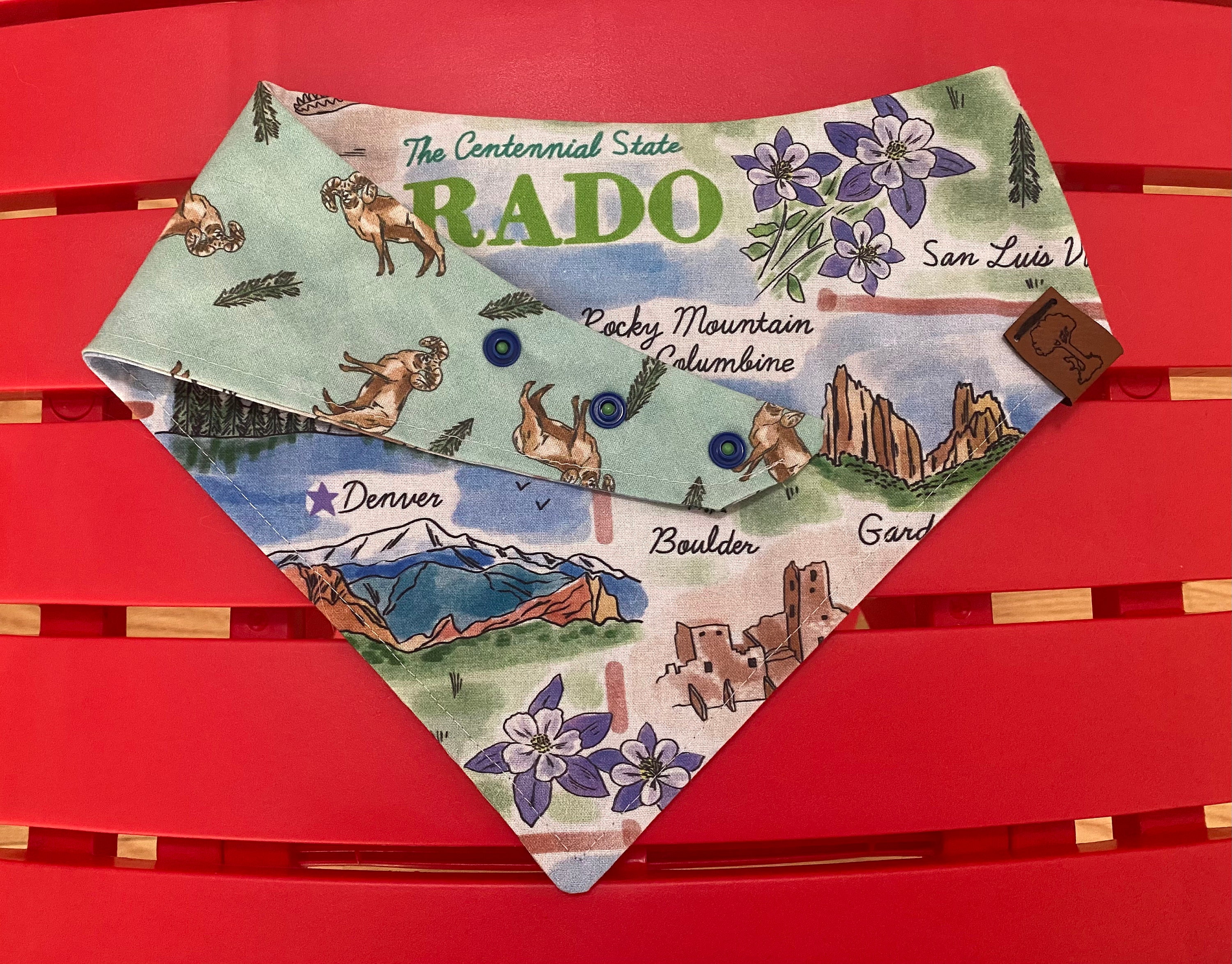 Colorado State University Rams Dog Bandana – Pet Scarf – Made In USA – CSU Fan Gear