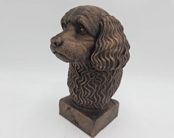 Buste de chien Cavapoo