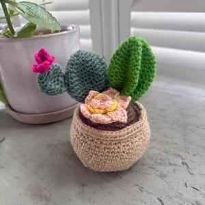 Crocheted Potted Succulent