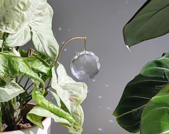 Plant Suncatcher POPPY • Unique gift for plant lovers • Glittering brass & glass crystal plant stake, handmade in France