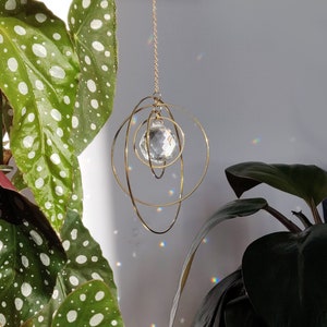 An ornamental crystal pendant hanging amidst indoor plants, with sunlight casting rainbow prisms on the wall. The pendant is surrounded by gold-tone wire rings, contrasting with the greenery of polka dot begonia and monstera leaves.