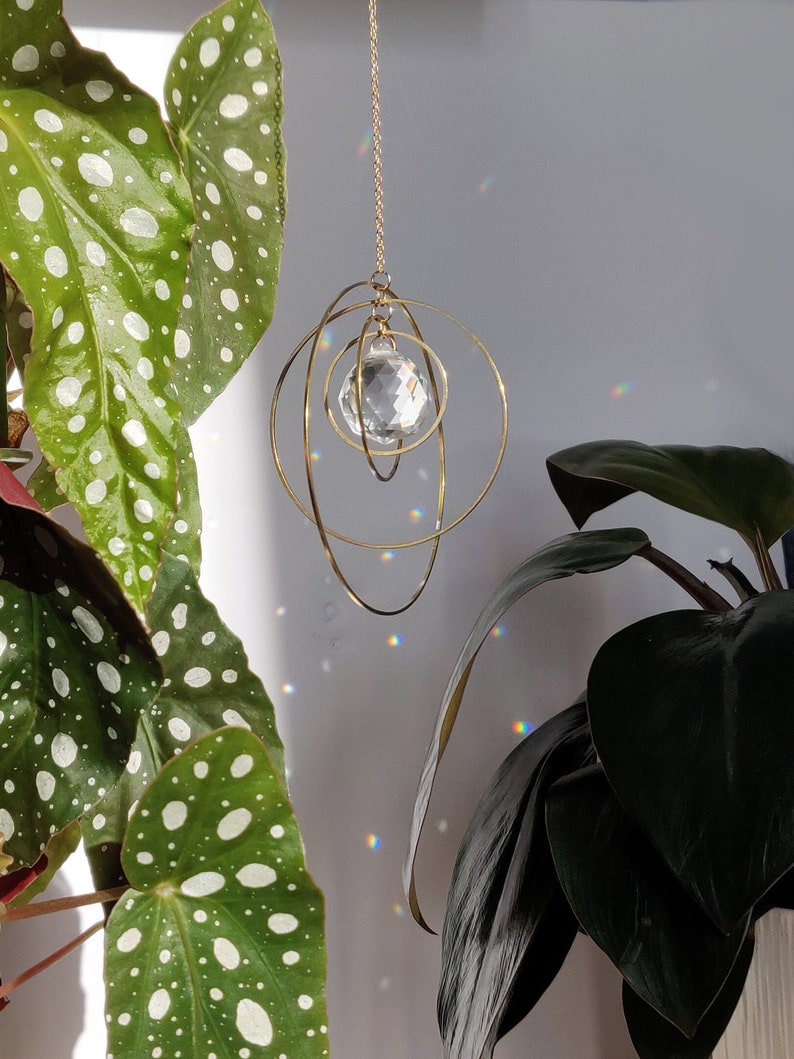 An ornamental crystal pendant hanging amidst indoor plants, with sunlight casting rainbow prisms on the wall. The pendant is surrounded by gold-tone wire rings, contrasting with the greenery of polka dot begonia and monstera leaves.