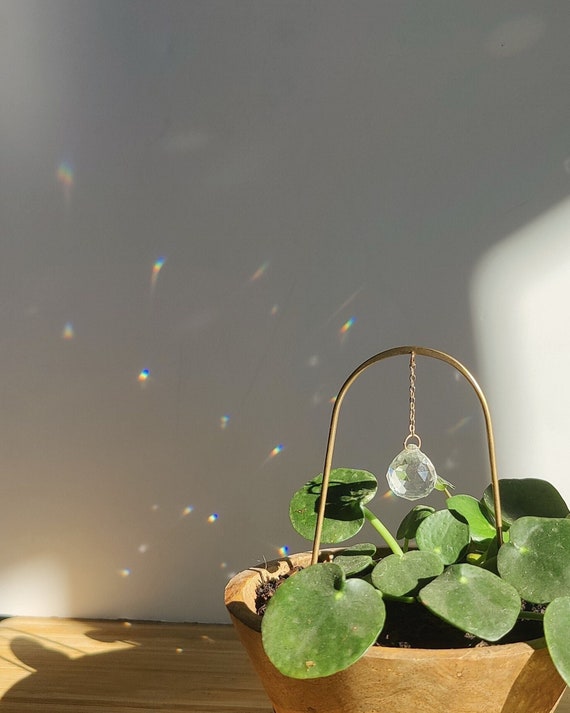 Mini Plant Suncatcher PILEA • Unique Gift for Plant Lovers