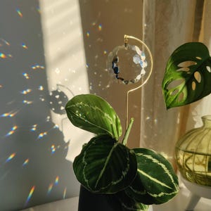 Peut inclure: Un capteur de soleil en boule de cristal clair suspendu à un support en métal doré. La boule de cristal est facettée, reflétant des arcs-en-ciel sur le mur. Des plantes vertes à feuilles à motifs sont au premier plan.