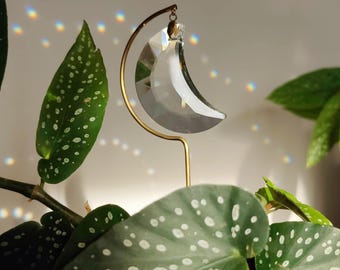 LUNA Pflanzbarer Sonnenfänger: Einzigartige Monddekoration für Pflanzenliebhaber | Himmlischer Sonnenfänger, handgefertigt in Frankreich