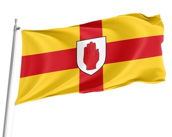 Bandiera Storica Signoria D'Irlanda (1386-1541) – 3x5Ft (90x150cm) – Prodotta In UE Da Flagsandmore