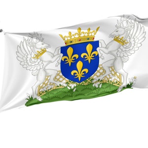 Bandiera Stemma del Re Carlo VII di Francia 1422-146, Stampa dal design unico, Grande bandiera fronte-retro, Dimensioni 3x5Ft /90x150cm, Made in EU