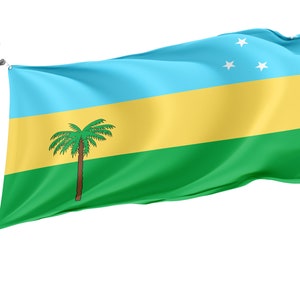 Pode incluir: Uma bandeira verde, amarela e azul claro com uma palmeira e cinco estrelas brancas. A bandeira está a ondular ao vento.