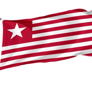 Drapeau du colonel James Long, impression de conception unique, grand drapeau double face, taille 3x5Ft / 90x150cm, fabriqué dans l&#39;UE