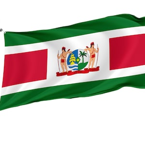 Flag President of Suriname, Unique Design Print, Double Sided Large Flag, Size 3x5Ft / 90x150cm, Made in EU