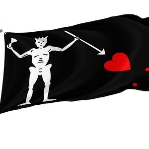 Blackbeard Pirate Flag: Edward Teach Design, Brass Grommets (3x5 Ft)