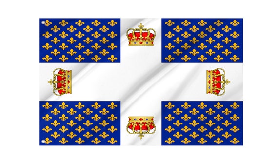 Flag of Dijon With Brass Grommets, France, Unique Design Print