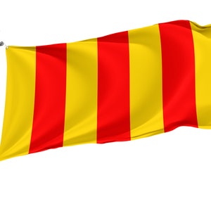 Flag County of Foix in France with Brass Grommets, Unique Design Print, Double Sided Large Flag, Size - 3x5Ft / 90x150cm, Made in EU