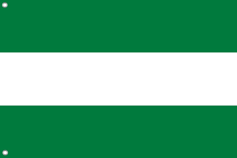 Bandera Far Cry - Eden's Gate 3x5 Pies (90x150 Cm) - Poliéster Con Ojales - Flagsandmore - Hecha En Lituania