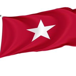 Jane Long Flag, Unique Design Print, Double Sided Large Flag, Size 3x5Ft / 90x150cm, Made in EU