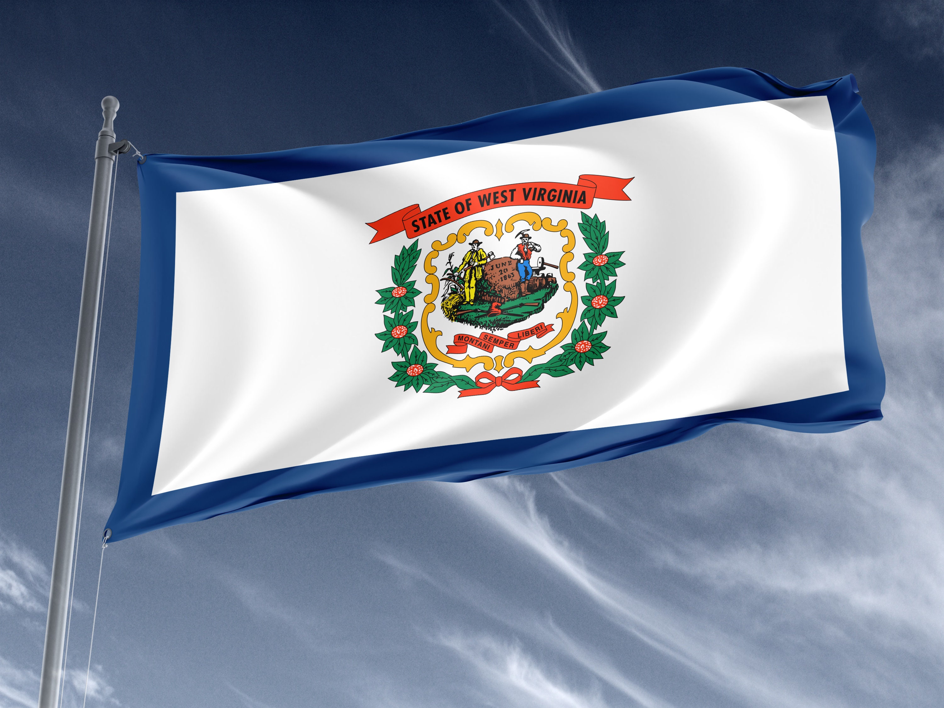 West Virginia State Flag: Patriotic Double Stitched 3x5 Ft - Etsy