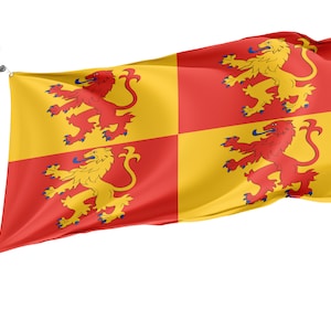 Flag of Owain Glyndwr, Unique Design Print, Flags for Indoor & Outdoor Use, British County, Size - 3x5Ft / 90x150cm, Made in EU