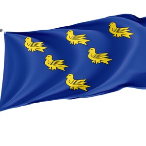 Bandiera del West Sussex, stampa di design unica, bandiere per uso interno ed esterno, contea britannica, dimensioni - 3x5Ft / 90x150cm, Made in EU