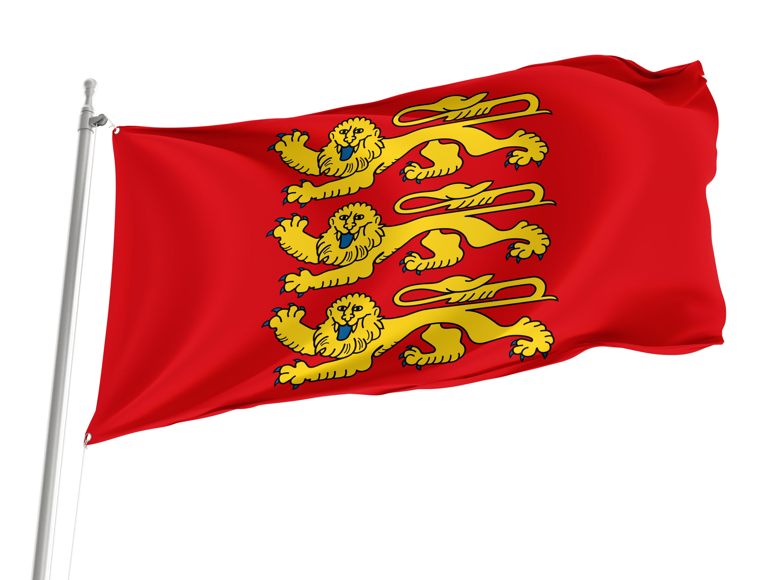 Flag Normandy Region in France with Brass Grommets, Unique Design Print, Double Sided Large Flag, Size - 3x5Ft / 90x150cm, Made in EU