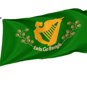 Puede incluir: Una bandera verde con un arpa dorada y las palabras "Erin Go Bragh" en letras doradas. El arpa está rodeada por una vid de tréboles dorados.