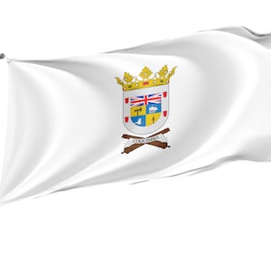 Flag of the city of Coquimbo, Unique Design Print, Flags for Indoor & Outdoor Use, Size - 3x5Ft / 90x150cm, Made in EU