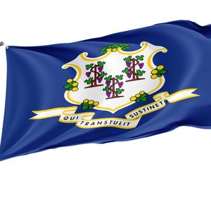 Connecticut State Flag, Patriotic Flags, Unique Design Print, USA States Flag, Double Stitched Flag, Size - 3x5 Ft / 90x150 cm, Made in EU