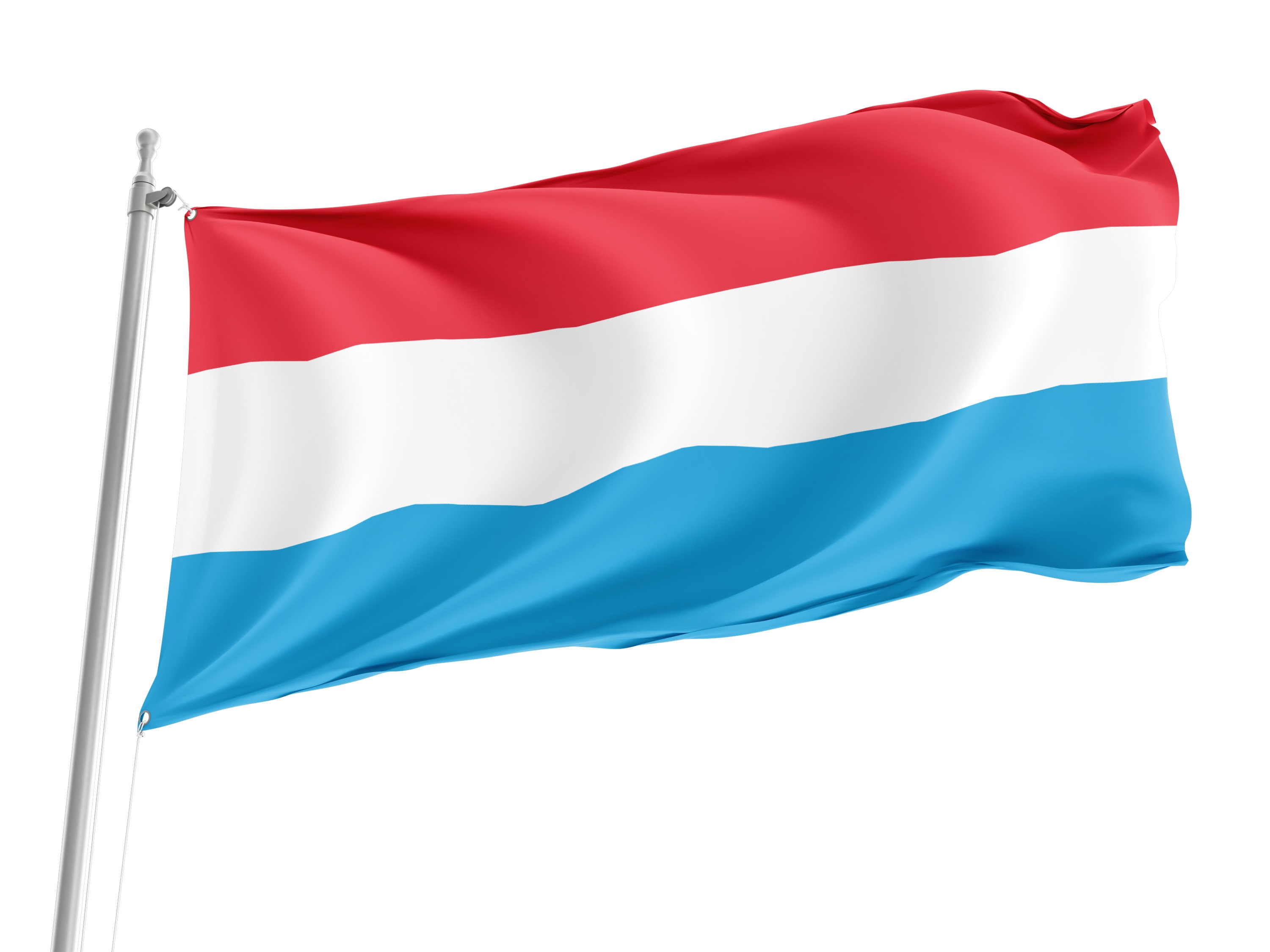 Bandierine A Quadretti Blu E Bianco The Flag Wholesaler | Festone 9 Metri Con 30 Bandierine In Poliestere Per Decorazioni Feste