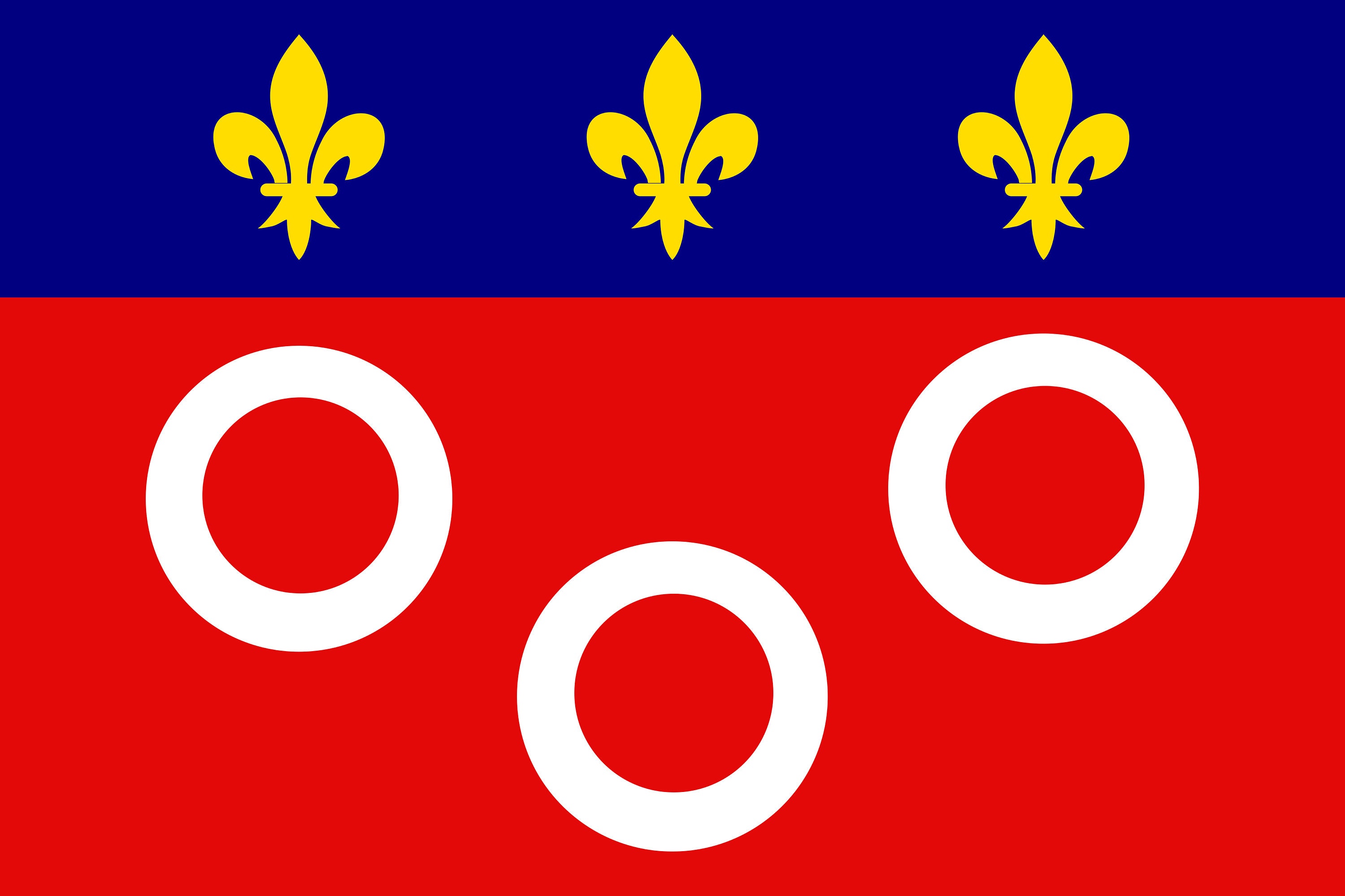 Flag of Dijon With Brass Grommets, France, Unique Design Print