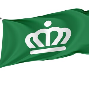 Charlotte, North Carolina Green Flag, Unique Design Print, Double Seams, Reinforced Fabric, Size 3x5Ft / 90x150cm, Garden flag
