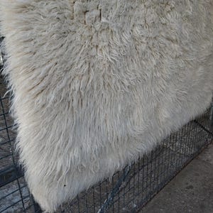 Flokati greek Carpet, vintage wool carpet,carpet 60&#39;,carpet natyral wool, white carpet,light carpet.light fluffy carpet, pure white carpet.