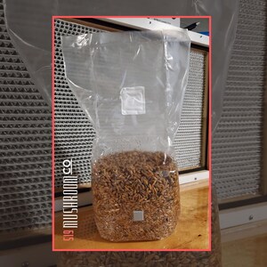 May include: A clear plastic bag filled with brown grains, likely for mushroom cultivation. The bag is sealed and has a white label. The text "S19 MUSHROOM CO" is visible on the side. The background includes a filter and wooden surface.